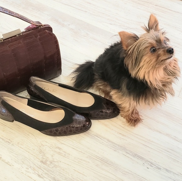 Meet your Posher, Dina vanessa - Picture 2 of 2